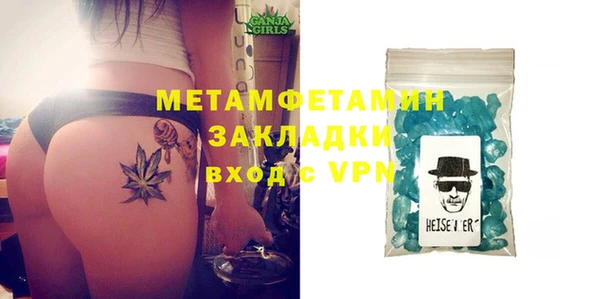 прущие грибы Няндома