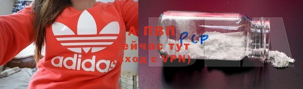 прущие грибы Няндома