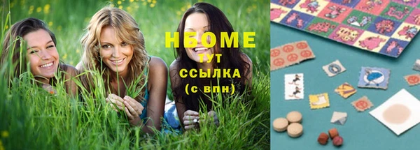 прущие грибы Няндома
