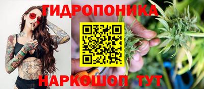 ГАЛЛЮЦИНОГЕННЫЕ ГРИБЫ Дубна