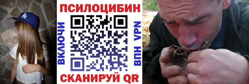 закладка Кирово-Чепецк Галлюциногенные грибы мухоморы